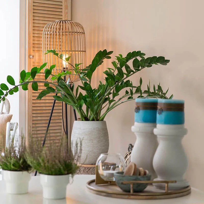 Интелигентна рустикална подова лампа ратан с WiFi A60 - Манила