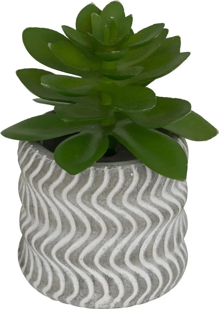 Изкуствено растение atmosphera Ubi Succulent, 7 cm, Различни видове