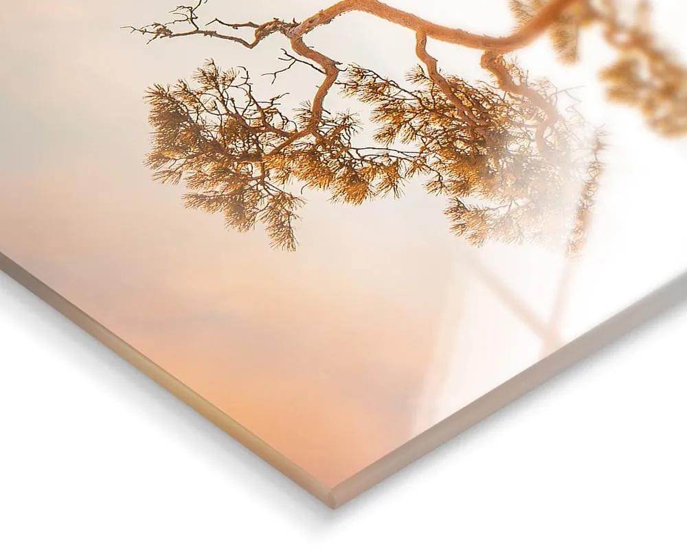 Картина върху стъкло 50x70 cm Brown Tree - Styler