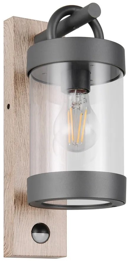 Стенно външно осветително тяло (височина 33 cm) Sambesi – Trio