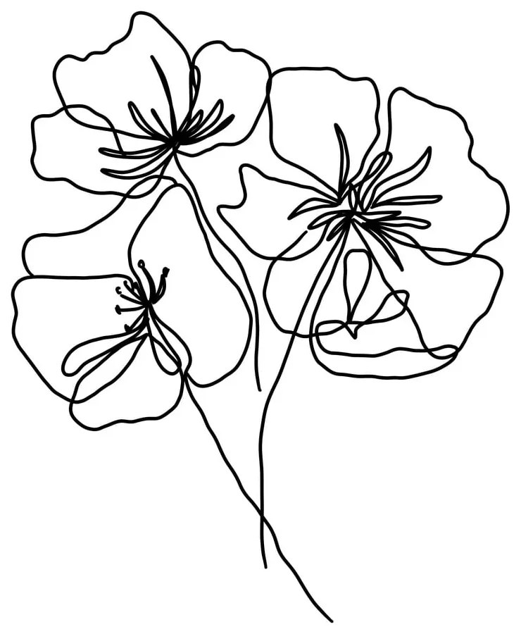 Постер 29x41 cm Black Poppy – Veronika Boulová