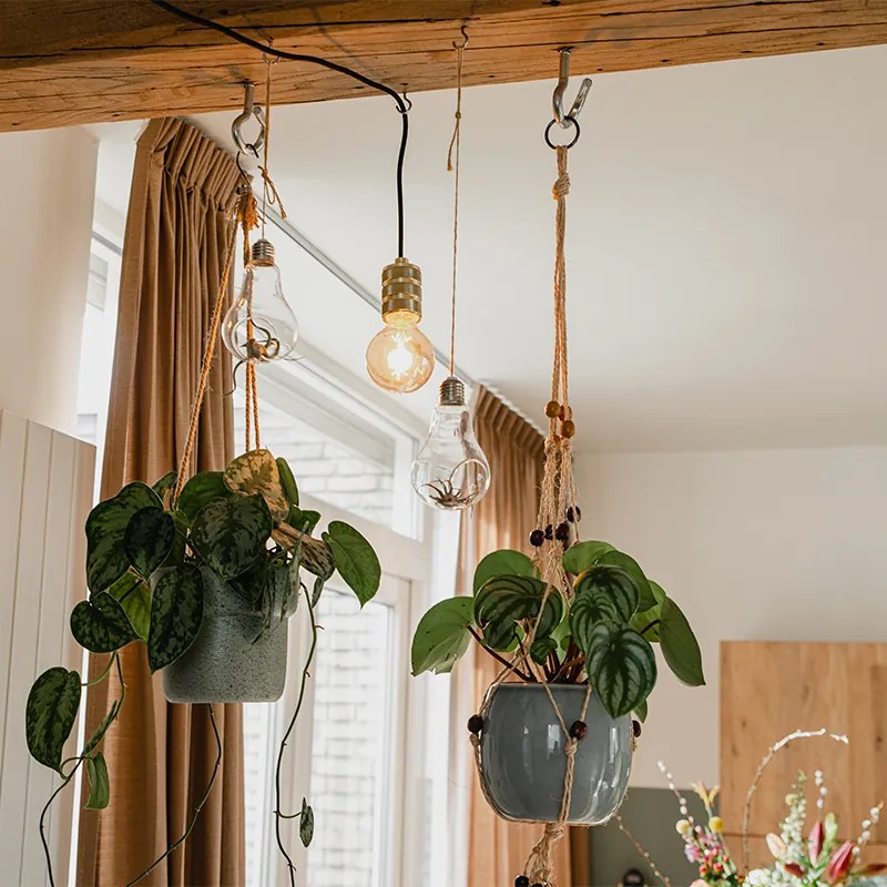 Модерен висящ аплик златен с щепсел - Cavalux