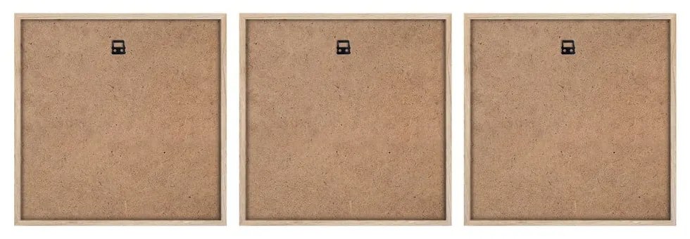 Картини в комплект 3 бр. 30x30 cm Pampas – Styler