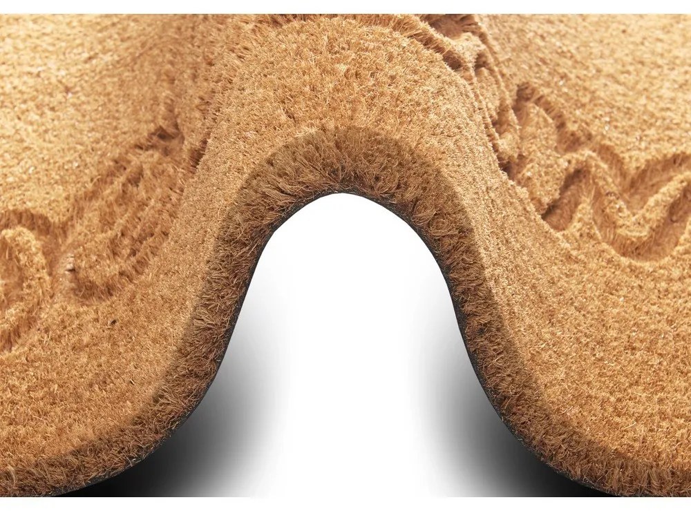 Изтривалка от кокосови влакна 75x45 cm Welcome - Hanse Home