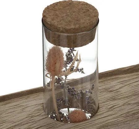 Декоративни цветя atmosphera House, 17 cm