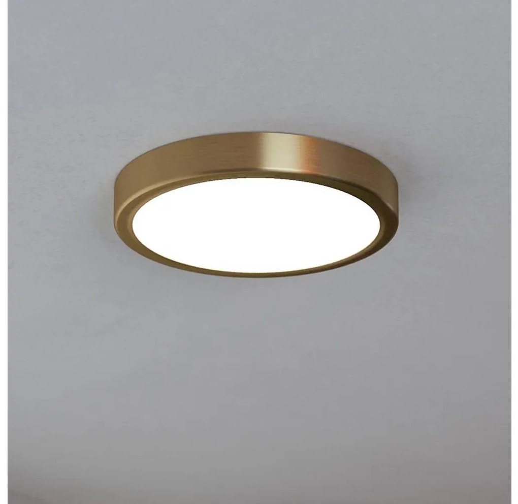 Eglo 900181 - LED таванно осветително тяло FUEVA LED/17W/230V, диаметър 21 cm