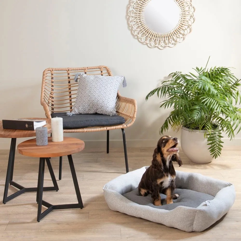 Светлосиво легло за домашни любимци 60x48 cm Graphene – Love Story