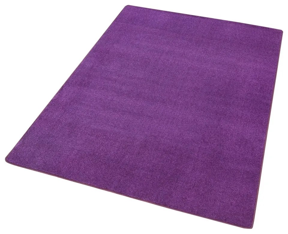 Тъмнолилав килим 160x240 cm Fancy – Hanse Home