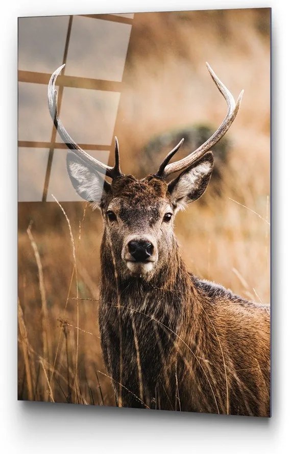 Живопис върху стъкло 70x100 cm Deer - Wallity