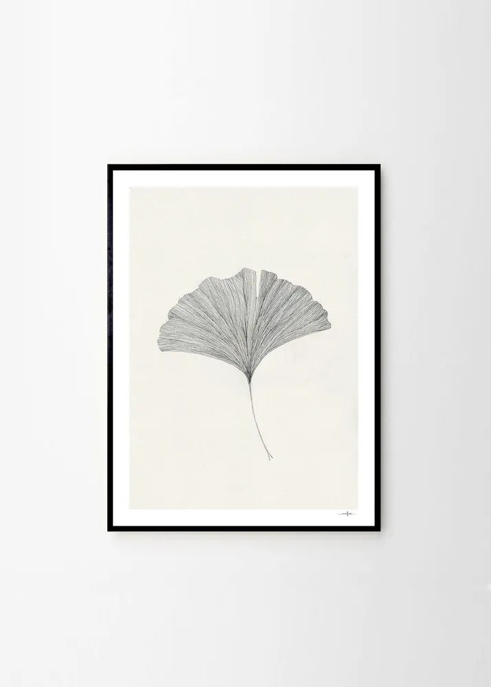 Постер 50x70 cm Ginkgo Leaf – Ana Frois – The Poster Club