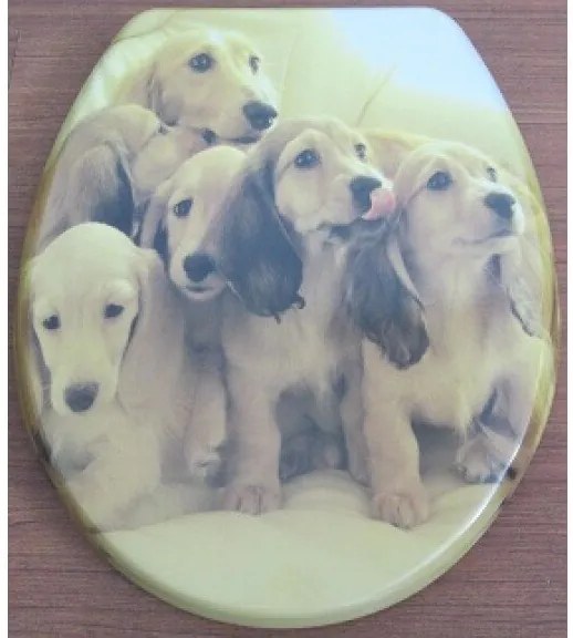 Тоалетна седалка ICST 794