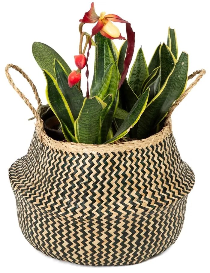 Кошница за съхранение от морска трева , ⌀ 35 cm Zic Zac - Compactor