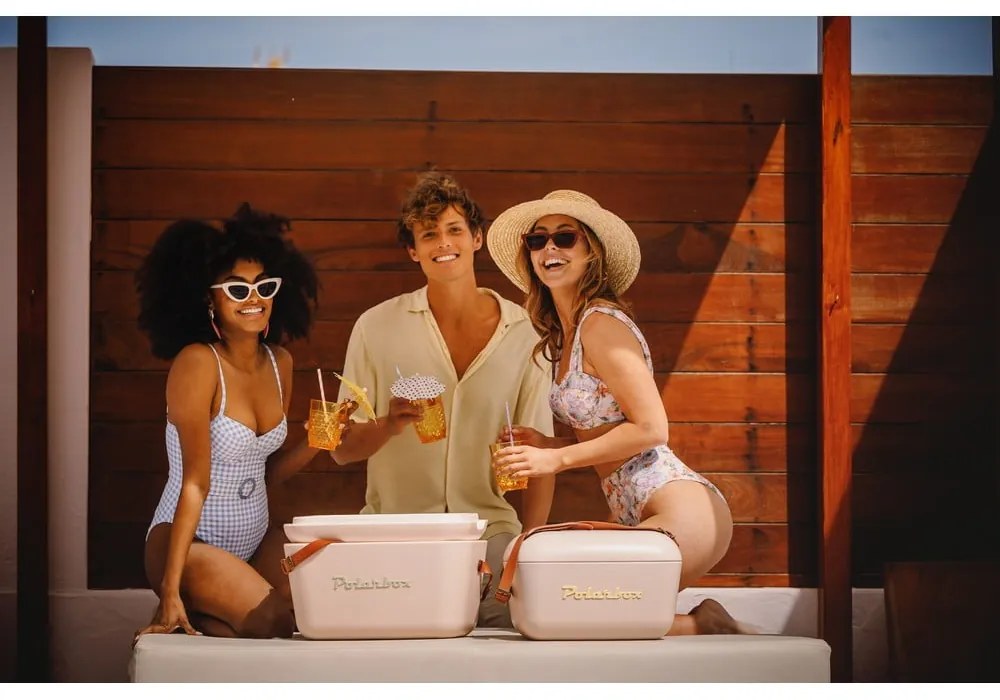 Хладилна чанта сиво-розова 12 l Classic – Polarbox