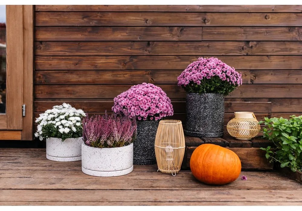 Комплект от 2 тъмносиви саксии, ø 26 cm Terrazzo - Bonami Selection