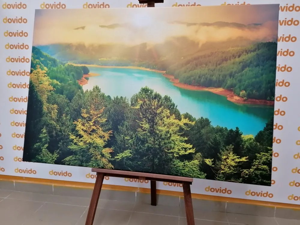Картина на платно – Река в зелена гора