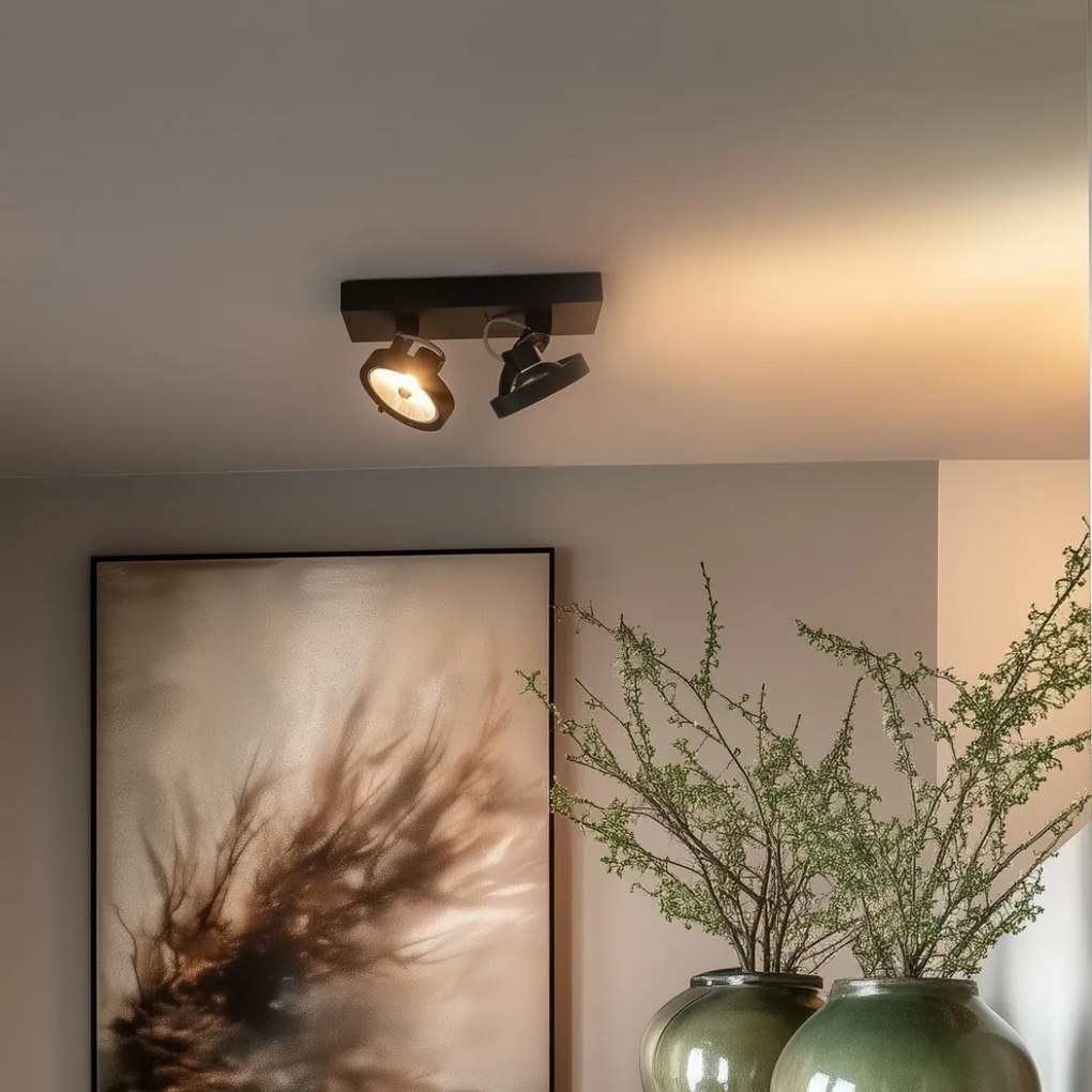 Дизайнерски прожектор черен регулируем 2-светлина - Go