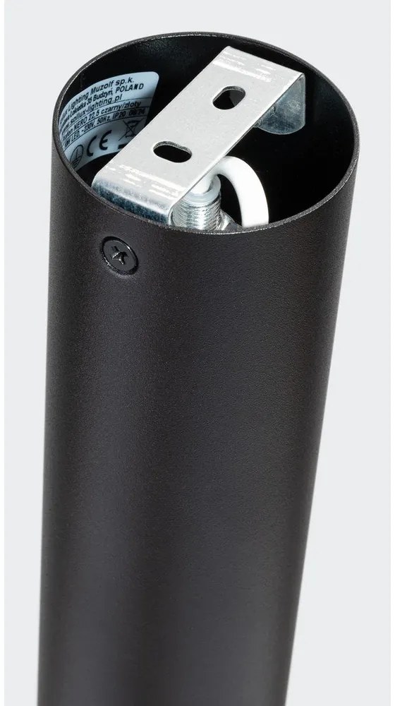 Осветително тяло за таван в черен и златист цвят Crown – Sollux