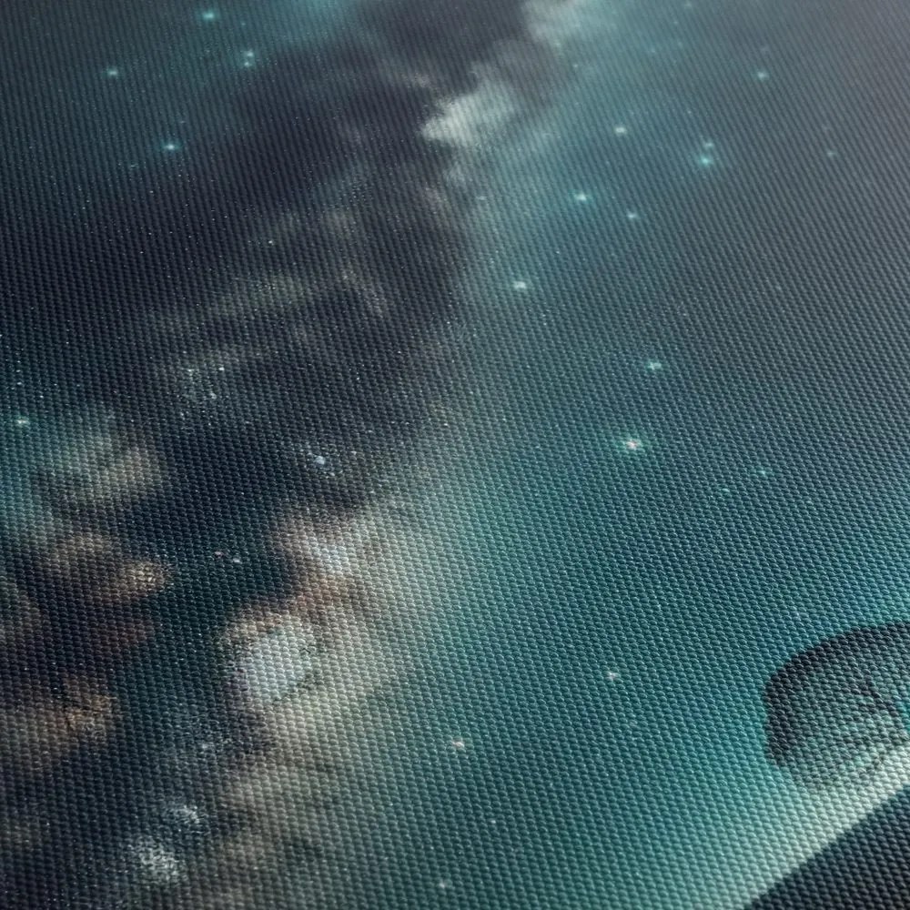 Картина на платно – Дърво на живота и галаксия