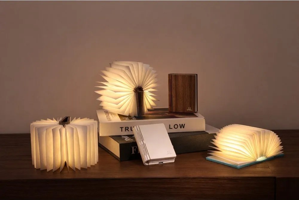 Преносима светлинна декорация с USB в естествен цвят BookLight – Gingko