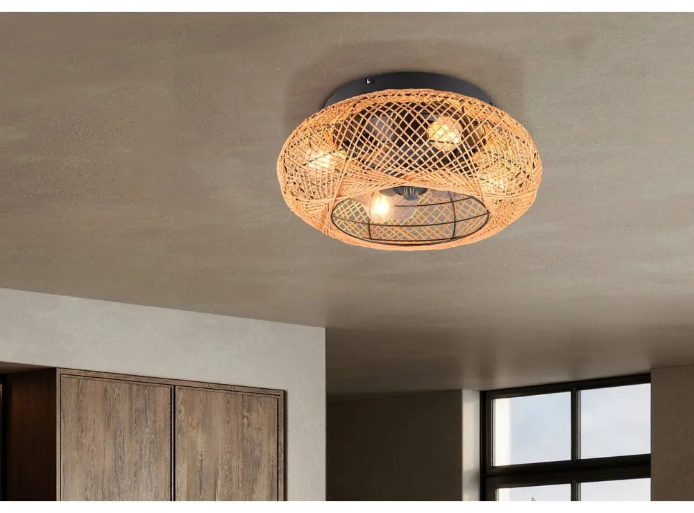 Кафяво осветително тяло за таван с дистанционно управление/с вентилатор Lillesand – Trio