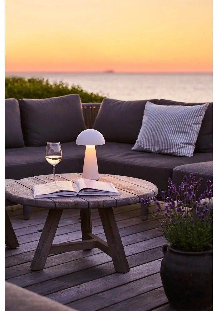 Декорация с бяла светлина Sam - Sirius