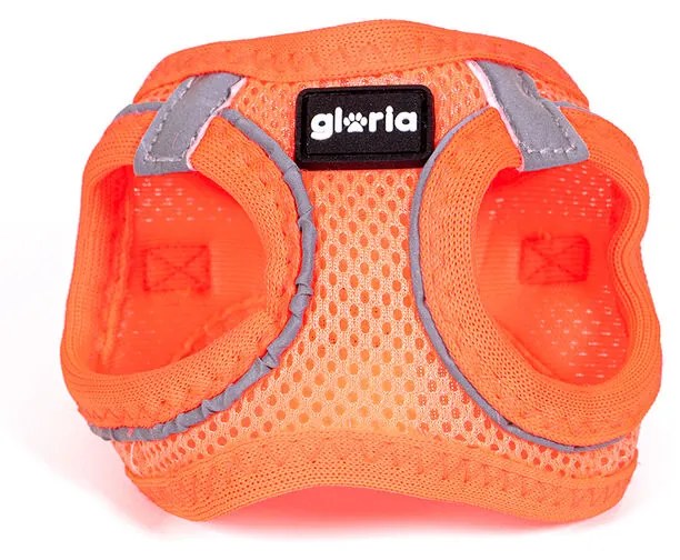 Каишка за Куче Gloria Trek Star 24-26 cm 28-28,6 cm Оранжев XXS