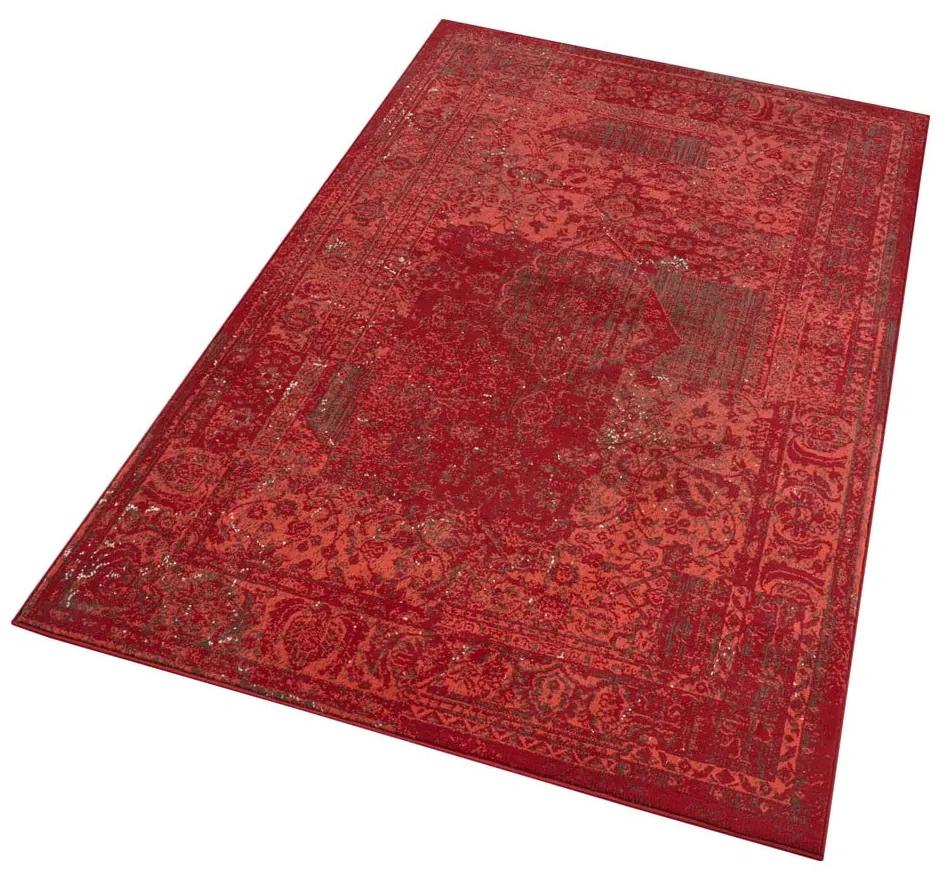 Червен килим Празник , 200 x 290 cm Plume - Hanse Home