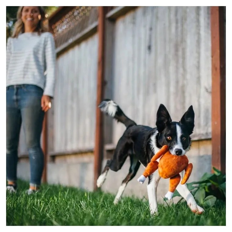 Играчка за куче Турция - P.L.A.Y.