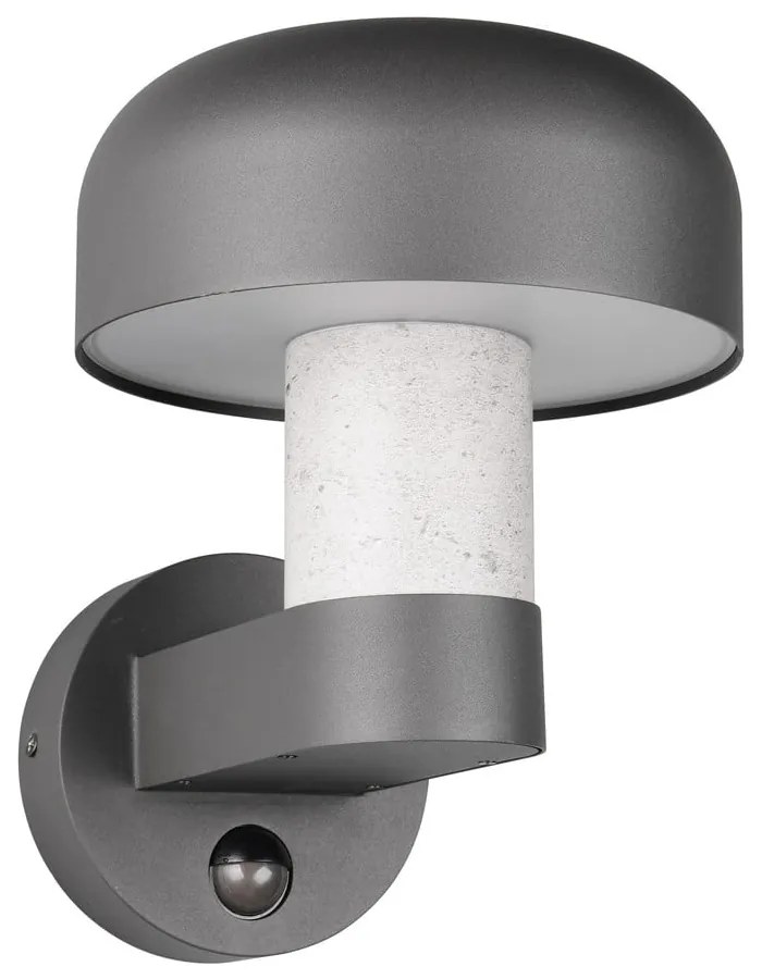 Стенно външно осветително тяло (височина 24,5 cm) Fraser – Trio