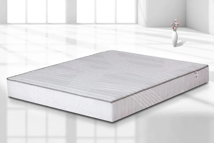 Diona еднолицев