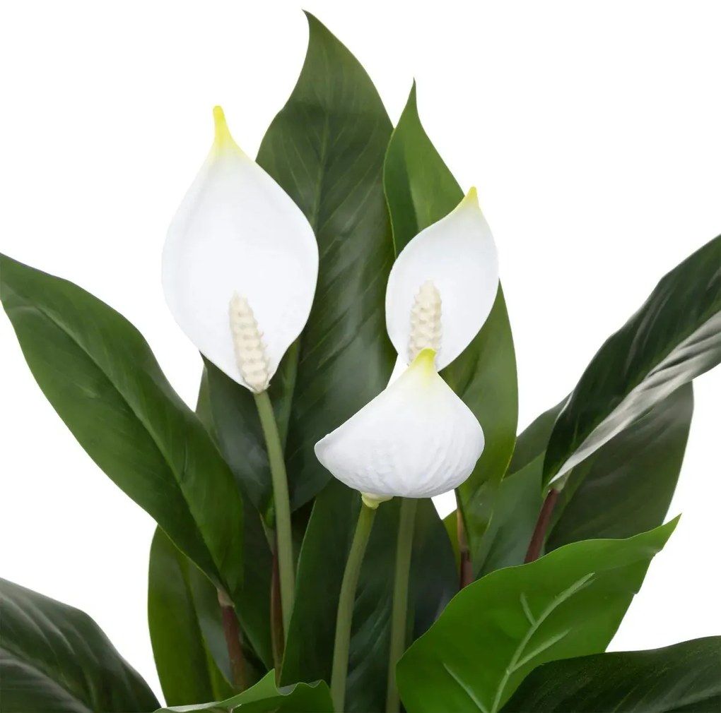 Изкуствено растение atmosphera Peace Lily, 54 cm