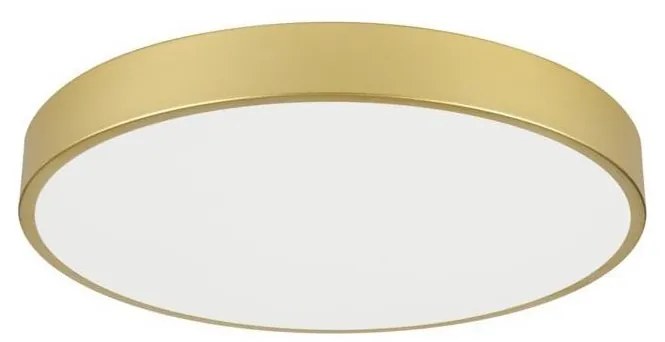 Immax NEO 07293L - LED+CCT димируемо таванно осветително тяло SEMPLICI 60W/230V Ø 60 см, с дистанционно управление