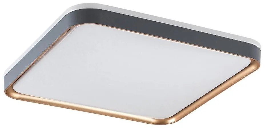 Rabalux 71029 - LED таванно осветително тяло LIATRIS LED/26W/230V 3000K