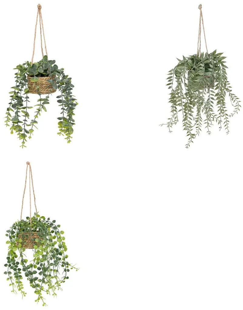Изкуствено растение atmosphera Patri Hanging, 50 cm, Различни видове