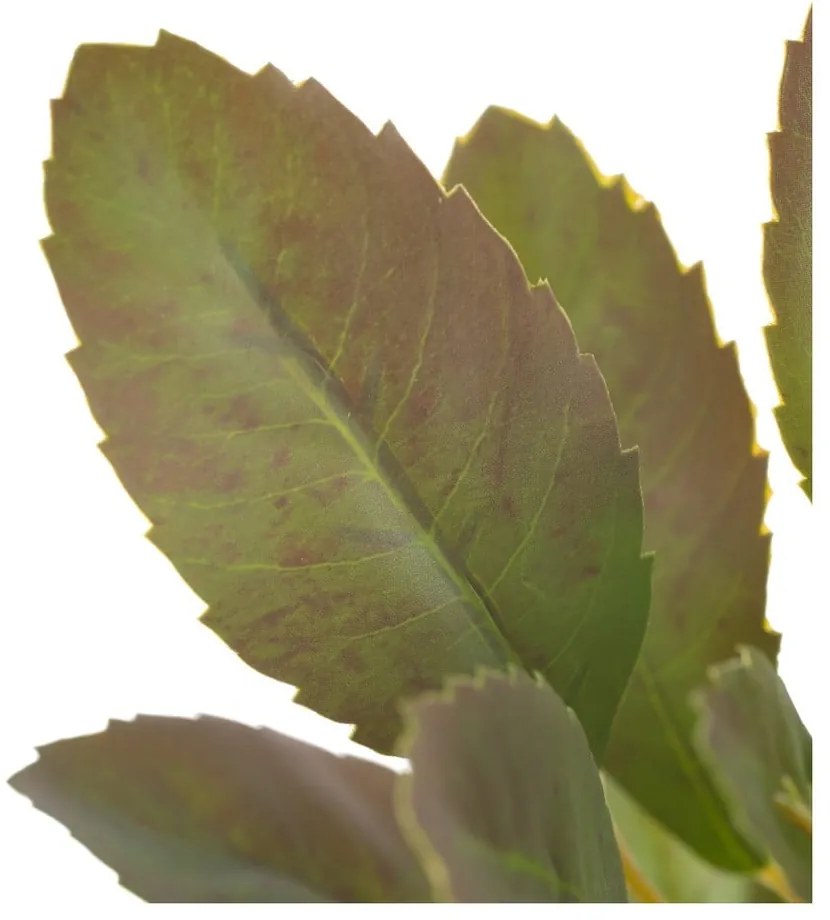 Изкуствена клонка (височина 37 cm) Lemon Tree – Ixia