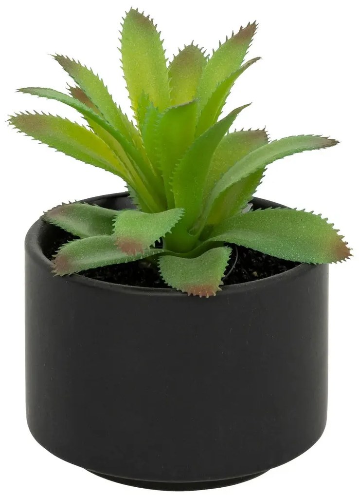 Изкуствено растение atmosphera Succulent, 13 cm, Различни видове