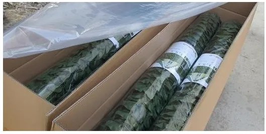 Листа в мрежа - Dark green -300 x 150 cm.