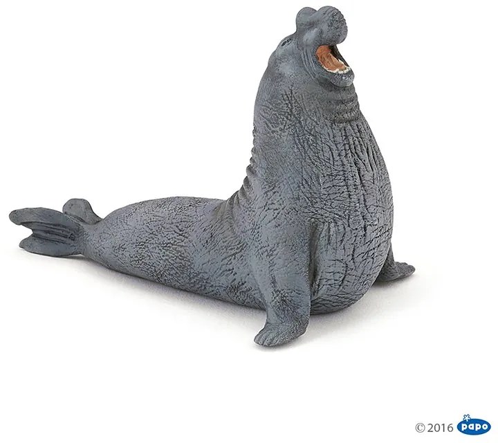 Papo - Фигурка Elephant Seal 56032