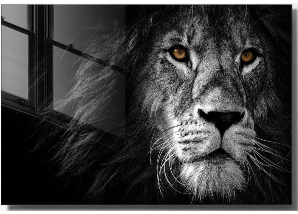 Картина върху стъкло 70x50 cm Lion - Wallity