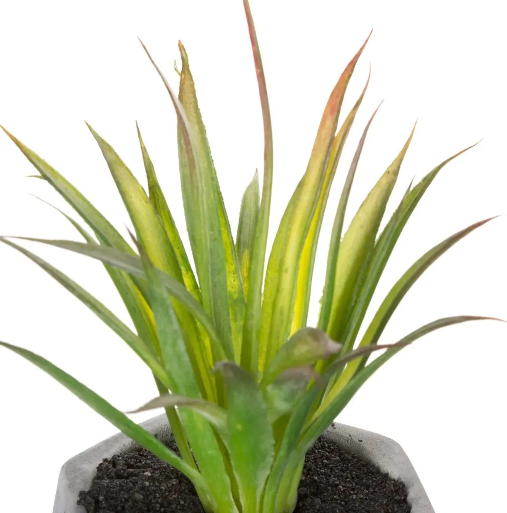 Изкуствено растение atmosphera Succulent, 14 cm, Различни видове