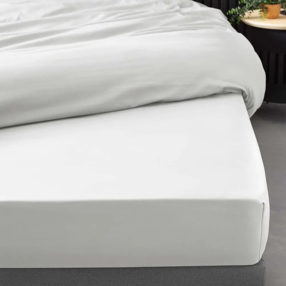 Бял еластичен чаршаф от памук перкал 160x200 cm Percaline – douceur d'intérieur