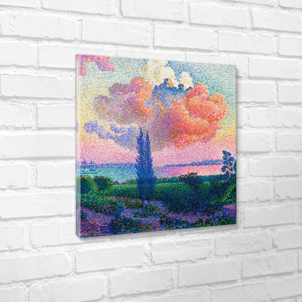 Картина 80x80 cm The Pink Gold – Styler