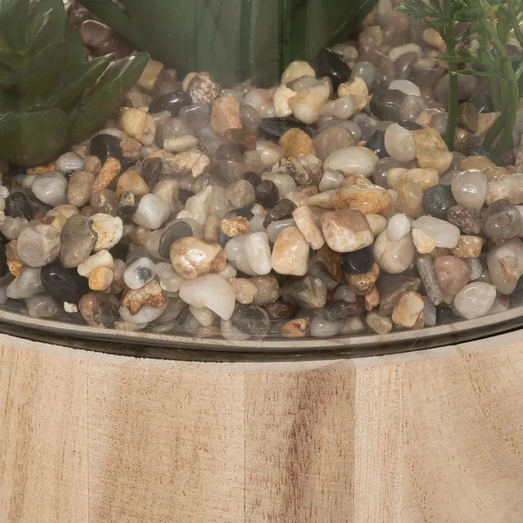 Изкуствено растение atmosphera Terrarium, 17.5 cm