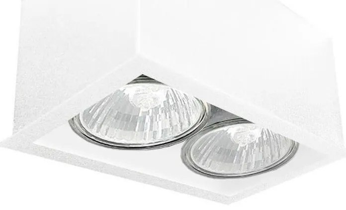 Brosline 1081 - Точково осветително тяло CAGE 2xGU10/10W/230V бяло