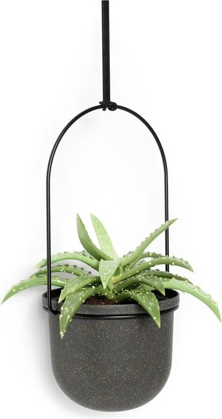 Пластмасови покрития за кашпи в комплект 5 бр. за билки/висящи и стенни ø 7,5 cm Triflora – Umbra