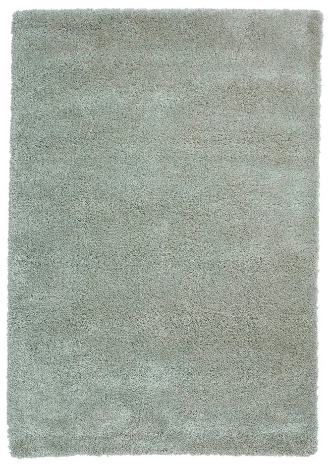 Светлозелен килим 120x170 cm Sierra – Think Rugs