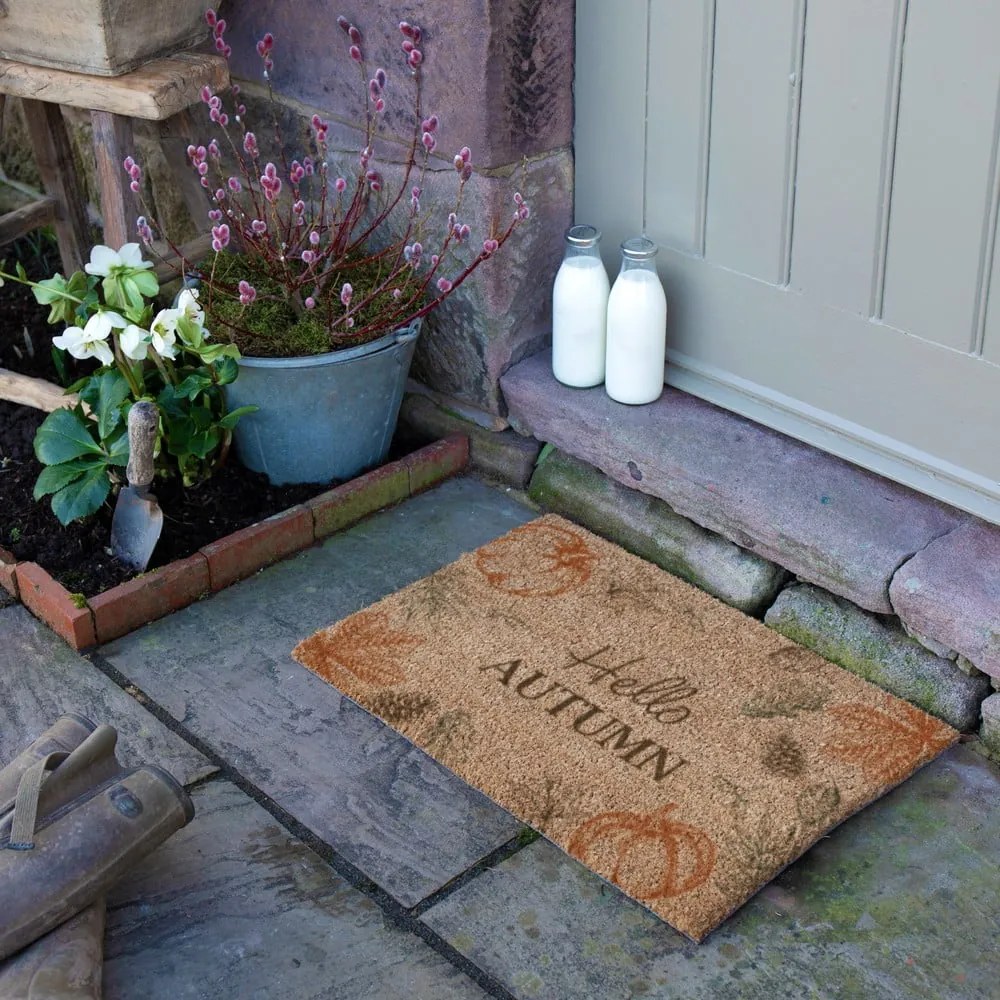 Изтривалка от кокосови влакна 40x60 cm Hello Autumn – Artsy Doormats