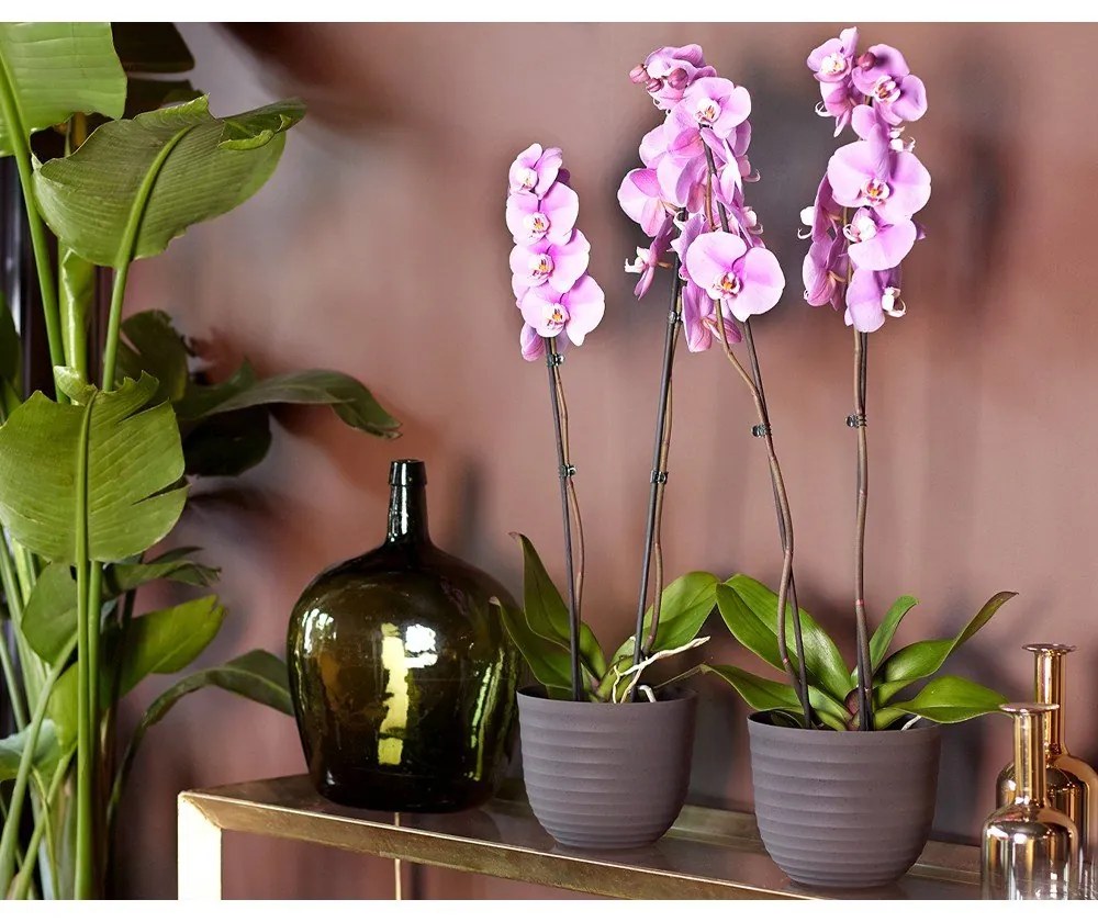 Саксия за цветя от рециклирана пластмаса ø 20 cm Havana – Artevasi