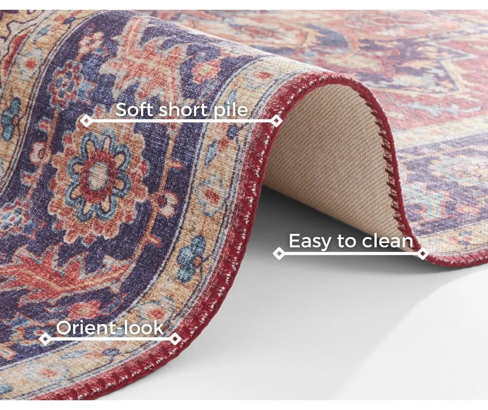 Червен и лилав килим , 120 x 160 cm Anthea - Nouristan