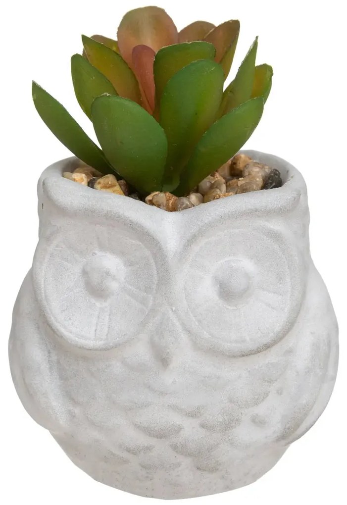 Изкуствено растение atmosphera Succulent, 8 cm, Различни видове